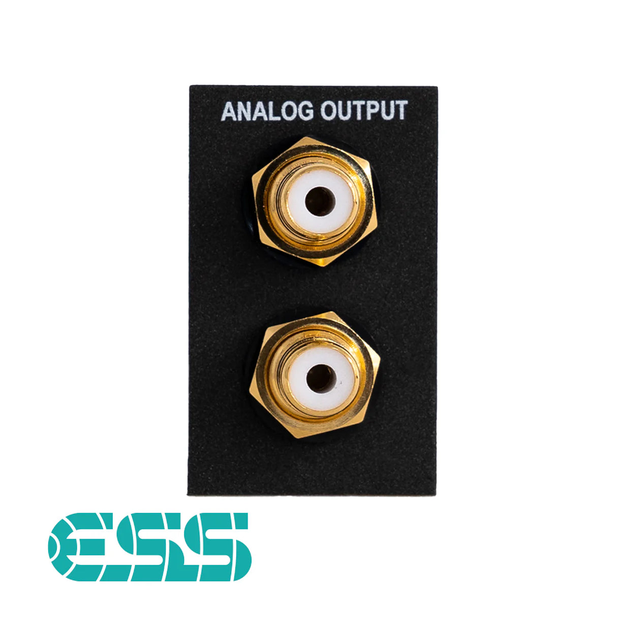 BRAX DSP Output Analog ESS module detail highlighting ESS digital-to-analog conversion architecture – by MC Audio Sydney