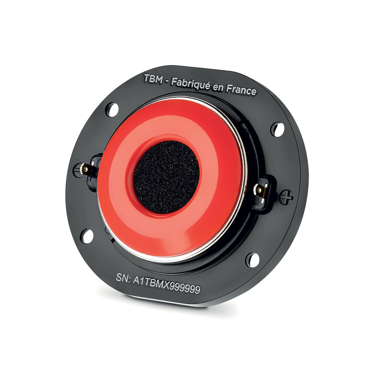 Focal TBM rear motor structure and mounting detail for high-end installations – by MC Audio Sydney