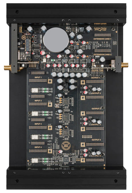 Advanced connectivity panel providing flexible input and output configuration.