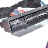 MATCH PP-UNI 2.38 Molex connector detail 38 pin wiring harness – MC Audio Sydney