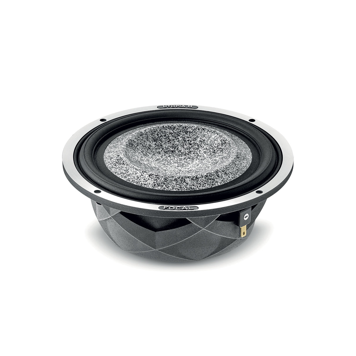 Focal 6WM diaphragm detail for accurate midbass reproduction – by MC Audio Sydney