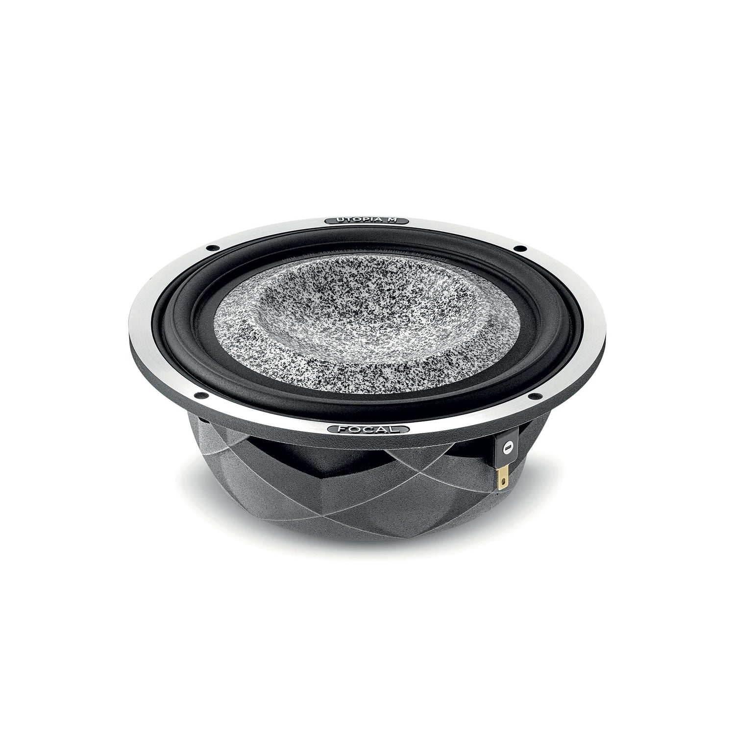 Focal 6WM diaphragm detail for accurate midbass reproduction – by MC Audio Sydney